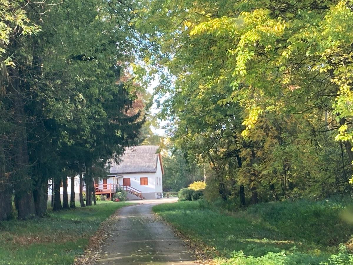 Wildente Vadaszhaz Tamasi Bagian luar foto